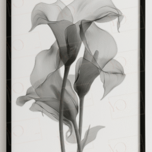 Élégance Spectrale